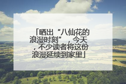 晒出“八仙花的浪漫时刻”，今天，不少读者将这份浪漫延续到家里